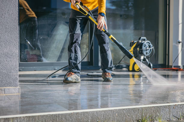 Animal Enclosure Cleaning in Crest Hill, IL